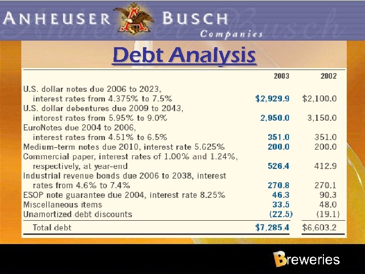 Debt Analysis reweries 