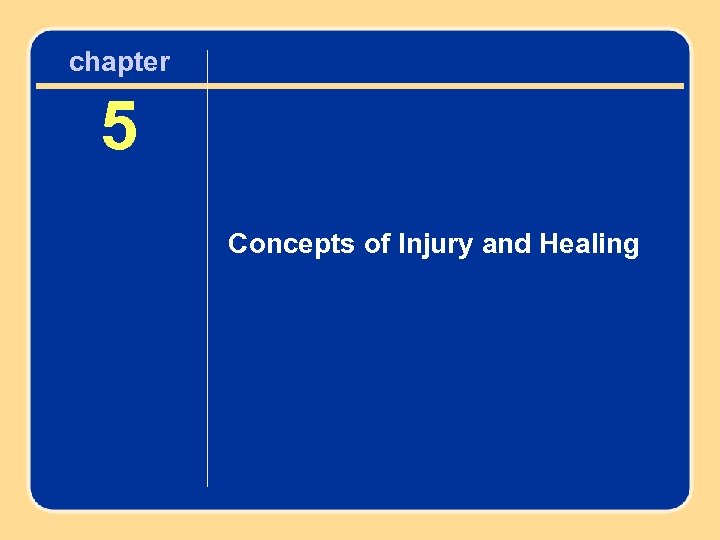 chapter 5 Concepts of Injury and Healing 