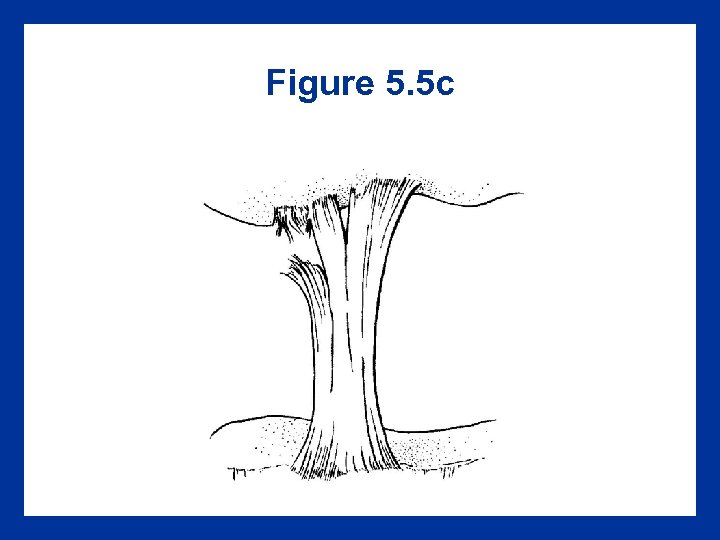 Figure 5. 5 c 