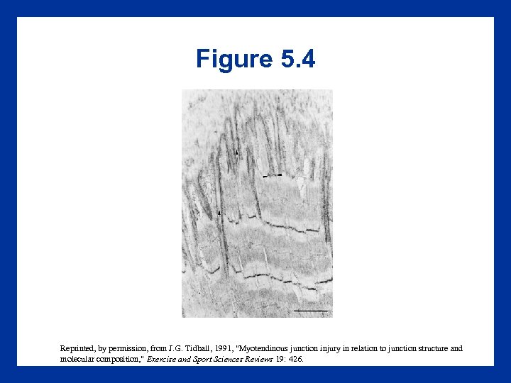 Figure 5. 4 Reprinted, by permission, from J. G. Tidball, 1991, 