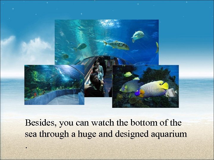 Besides, you can watch the bottom of the sea through a huge and designed