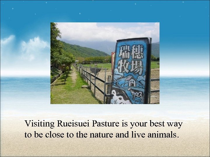 Visiting Rueisuei Pasture is your best way to be close to the nature and