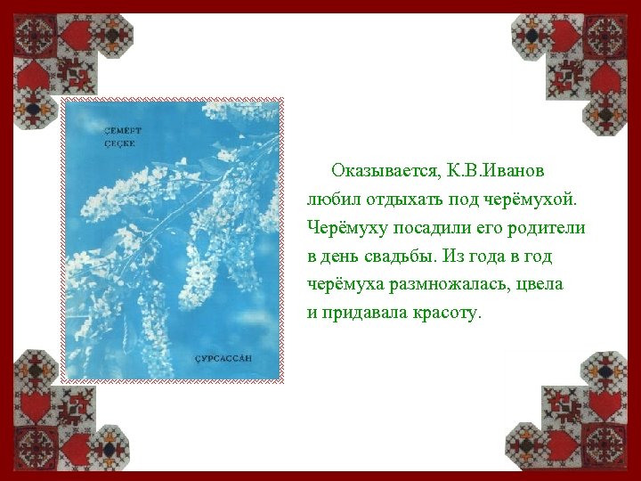Оказывается, К. В. Иванов любил отдыхать под черёмухой. Черёмуху посадили его родители в день