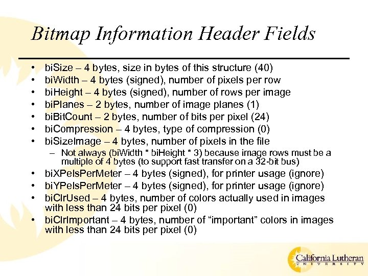 Bitmap Information Header Fields • • bi. Size – 4 bytes, size in bytes