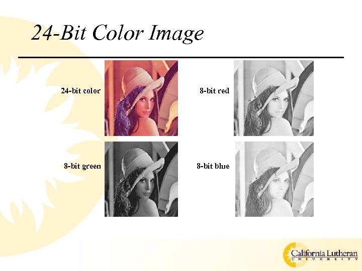 24 -Bit Color Image 24 -bit color 8 -bit red 8 -bit green 8