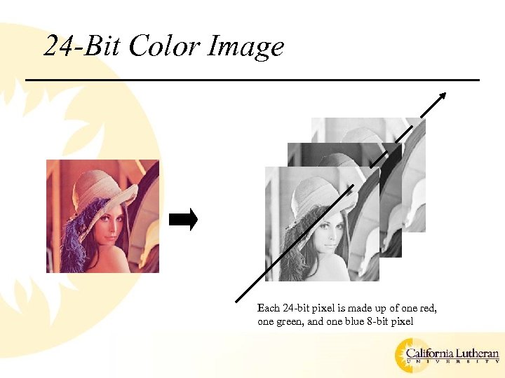 24 -Bit Color Image Each 24 -bit pixel is made up of one red,