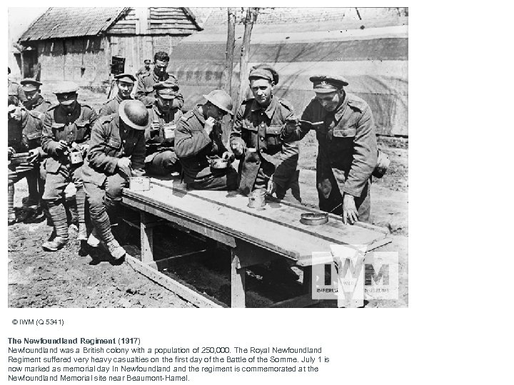 © IWM (Q 5341) The Newfoundland Regiment (1917) Newfoundland was a British colony with