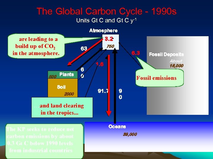 The Global Carbon Cycle - 1990 s Units Gt C and Gt C y-1