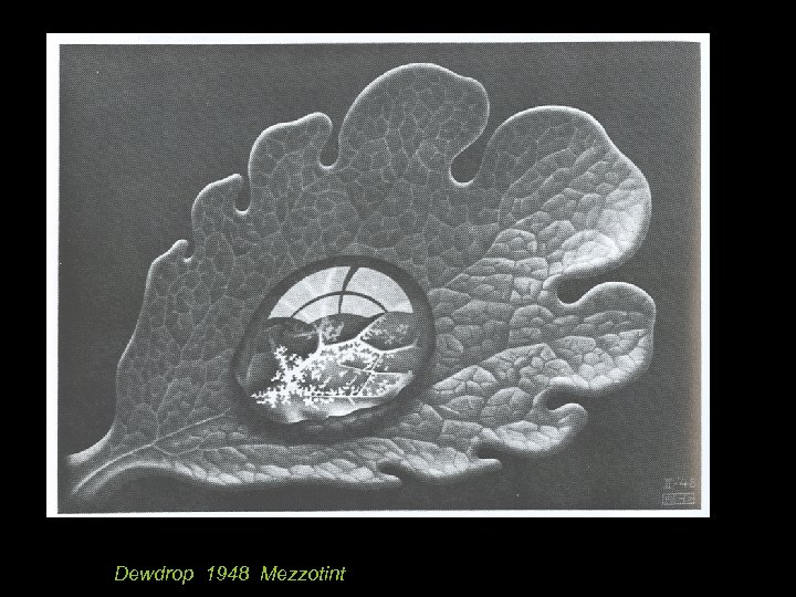 Dewdrop 1948 Mezzotint 