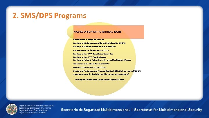 2. SMS/DPS Programs PROCESS OF SUPPORT TO POLITICAL BODIES Committee on Hemispheric Security Meetings
