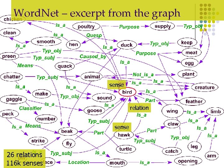 Word. Net – excerpt from the graph sense relation sense 26 relations 116 k