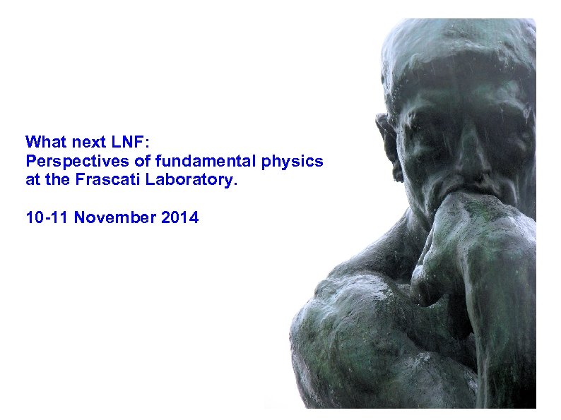 What next LNF: Perspectives of fundamental physics at the Frascati Laboratory. 10 -11 November