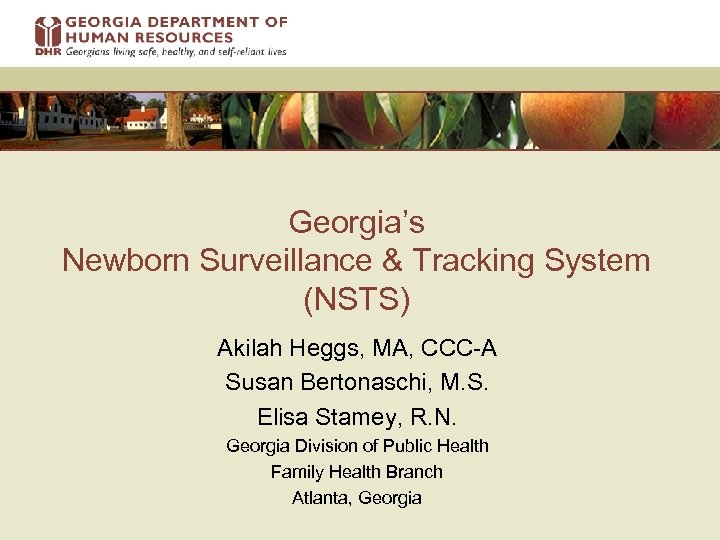 Georgia’s Newborn Surveillance & Tracking System (NSTS) Akilah Heggs, MA, CCC-A Susan Bertonaschi, M.