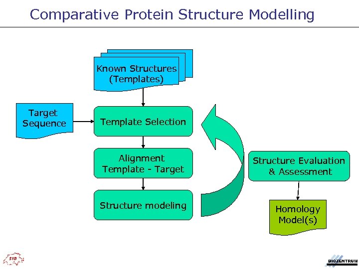 Comparative Protein Structure Modelling Known Structures (Templates) Target Sequence Template Selection Alignment Template -