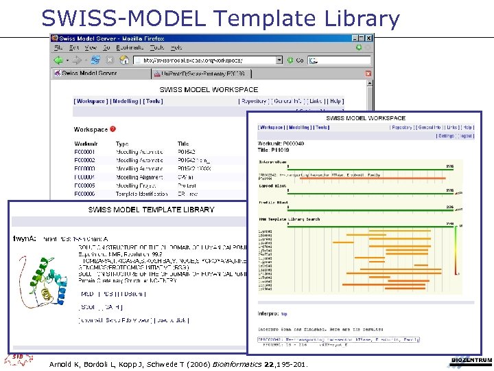 SWISS-MODEL Template Library Arnold K, Bordoli L, Kopp J, Schwede T (2006) Bioinformatics 22,