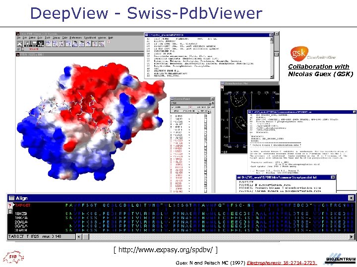 Deep. View - Swiss-Pdb. Viewer Collaboration with Nicolas Guex (GSK) [ http: //www. expasy.