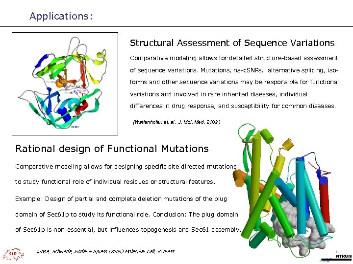 Applications: Structural Assessment of Sequence Variations Comparative modeling allows for detailed structure-based assessment of