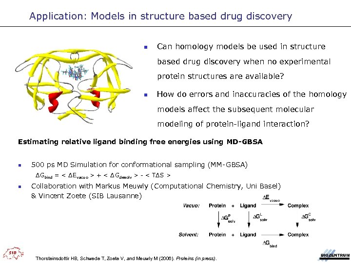 Application: Models in structure based drug discovery n Can homology models be used in