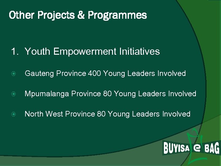 Other Projects & Programmes 1. Youth Empowerment Initiatives Gauteng Province 400 Young Leaders Involved