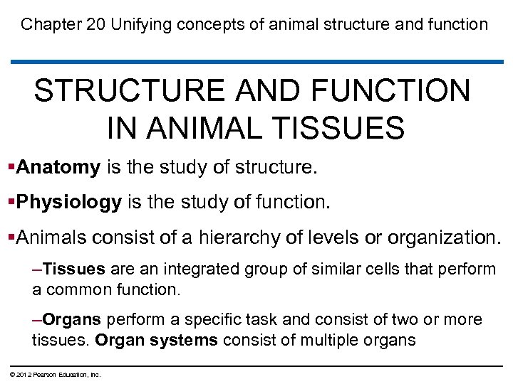 Chapter 20 Unifying concepts of animal structure and function STRUCTURE AND FUNCTION IN ANIMAL