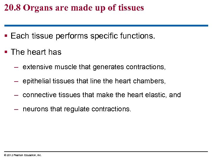 20. 8 Organs are made up of tissues § Each tissue performs specific functions.