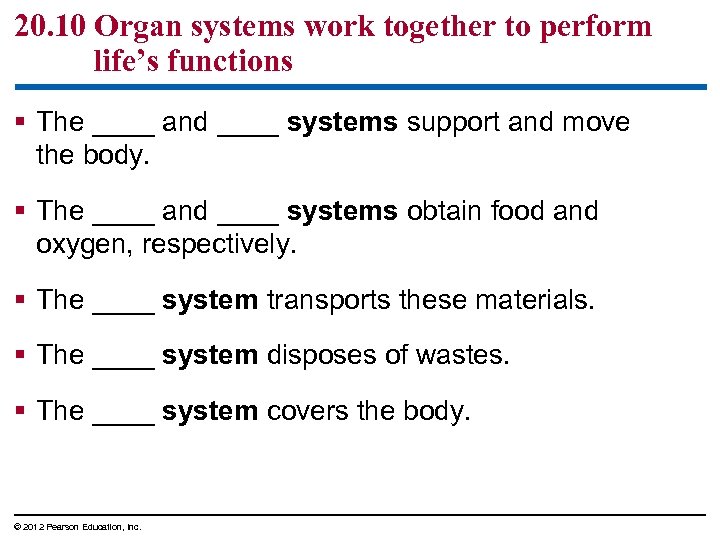 20. 10 Organ systems work together to perform life’s functions § The ____ and