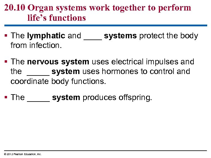 20. 10 Organ systems work together to perform life’s functions § The lymphatic and