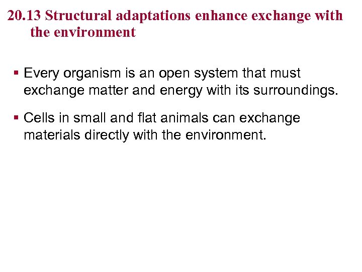 20. 13 Structural adaptations enhance exchange with the environment § Every organism is an