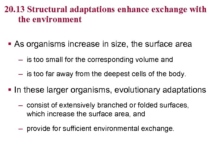 20. 13 Structural adaptations enhance exchange with the environment § As organisms increase in