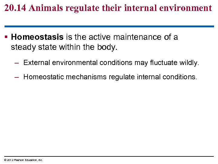 20. 14 Animals regulate their internal environment § Homeostasis is the active maintenance of