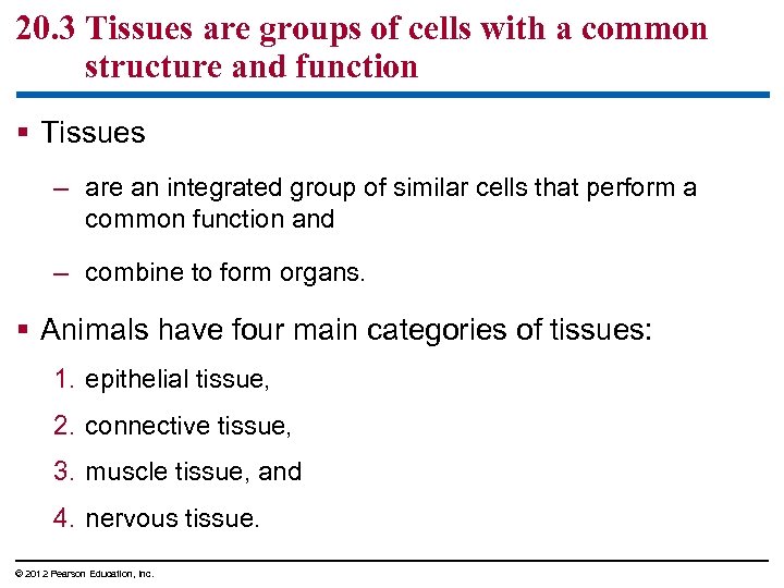 20. 3 Tissues are groups of cells with a common structure and function §