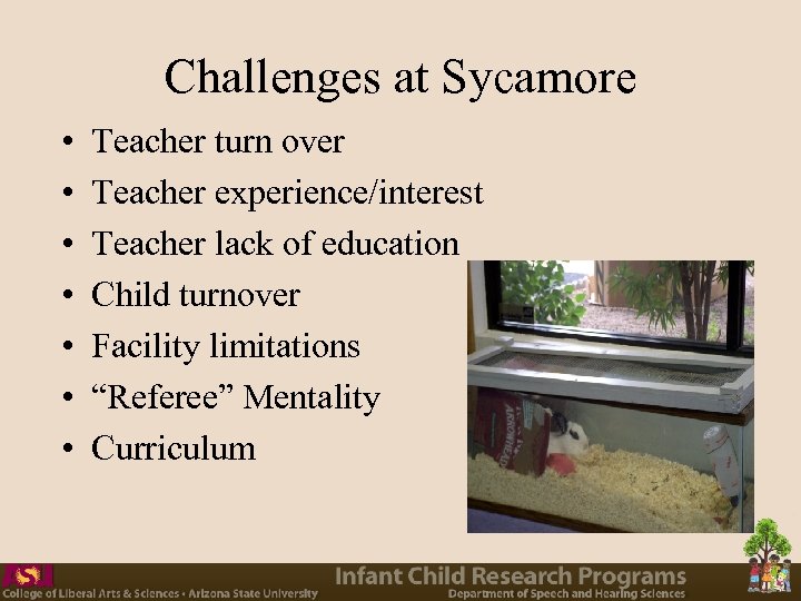 Challenges at Sycamore • • Teacher turn over Teacher experience/interest Teacher lack of education