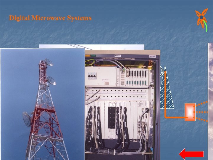 Digital Microwave Systems 