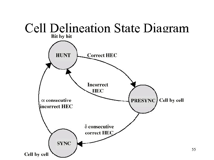 Cell Delineation State Diagram 55 