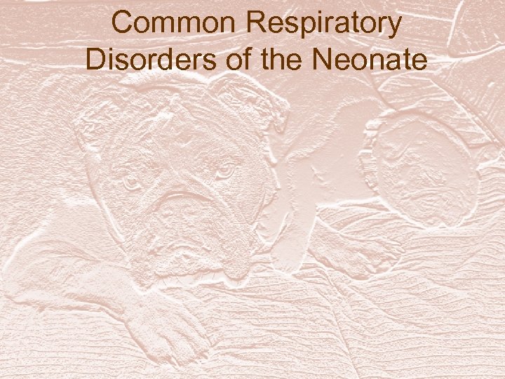 Common Respiratory Disorders of the Neonate 