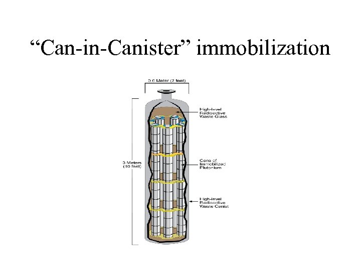“Can-in-Canister” immobilization 