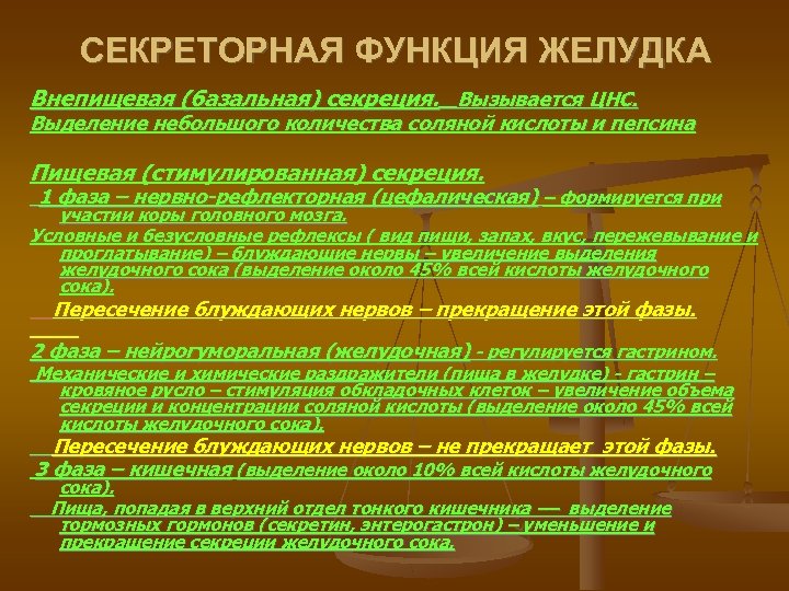СЕКРЕТОРНАЯ ФУНКЦИЯ ЖЕЛУДКА Внепищевая (базальная) секреция. Вызывается ЦНС. Выделение небольшого количества соляной кислоты и