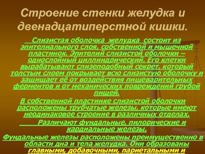 Строение стенки желудка и двенадцатиперстной кишки. Слизистая оболочка желудка состоит из эпителиального слоя, собственной