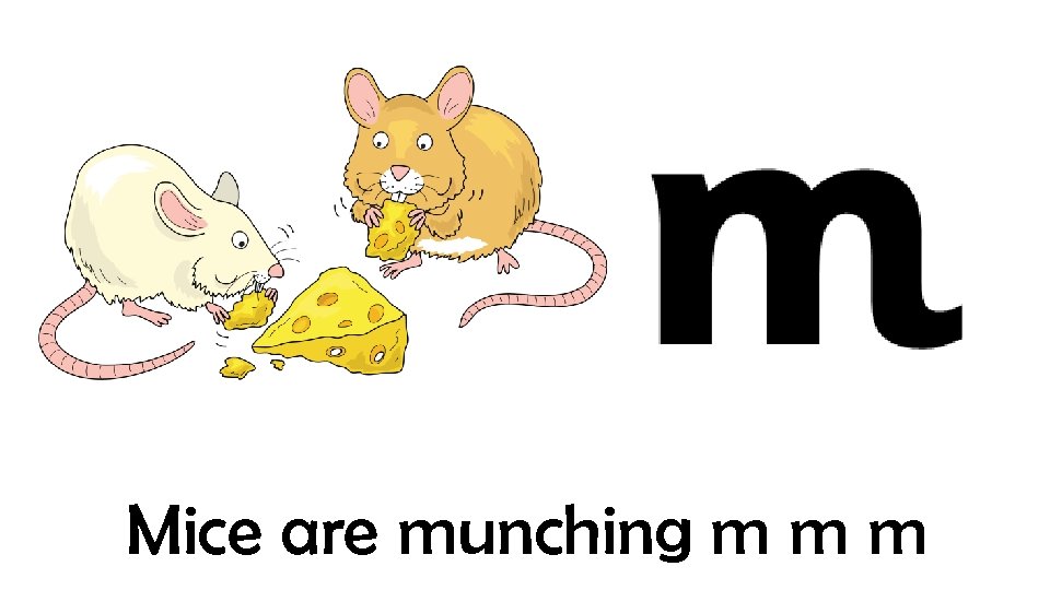 Mice are munching m m m 