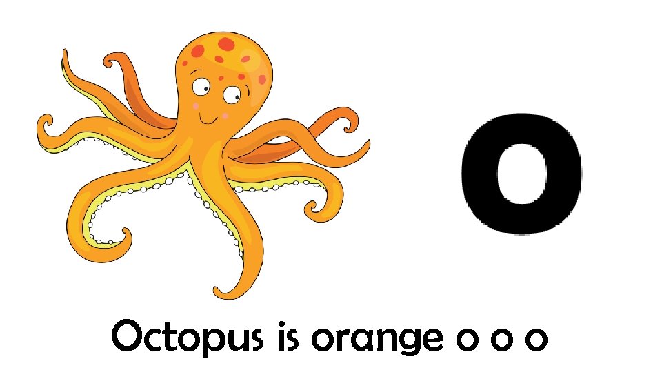 Octopus is orange o o o 