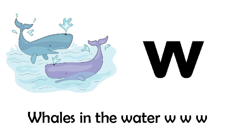 Whales in the water w w w 