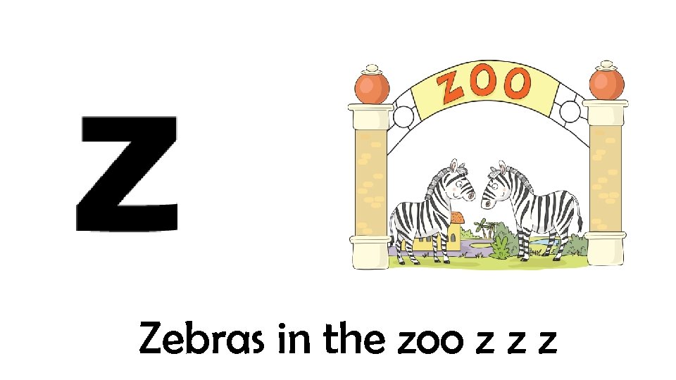 Zebras in the zoo z z z 