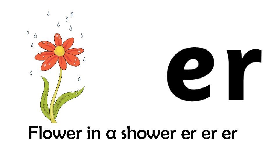 Flower in a shower er 