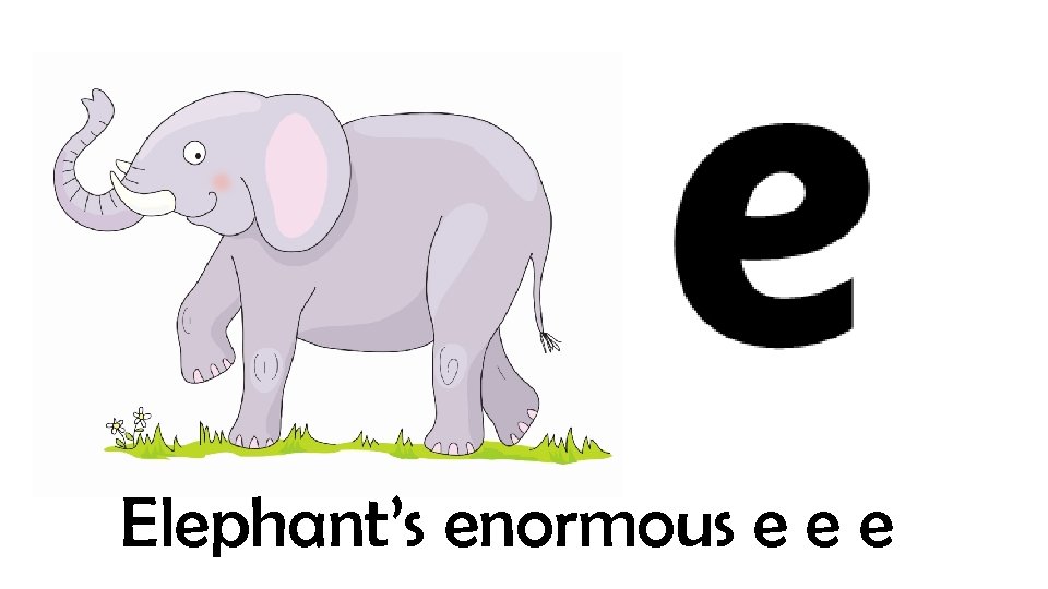 Elephant’s enormous e e e 