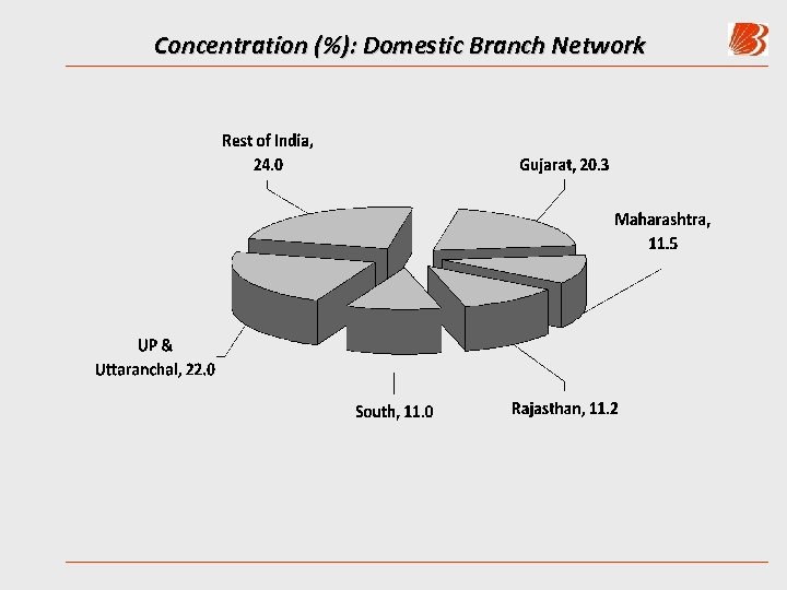 Concentration (%): Domestic Branch Network 