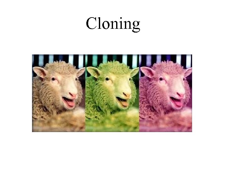 Cloning 