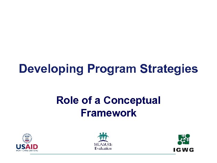 Developing Program Strategies Role of a Conceptual Framework 