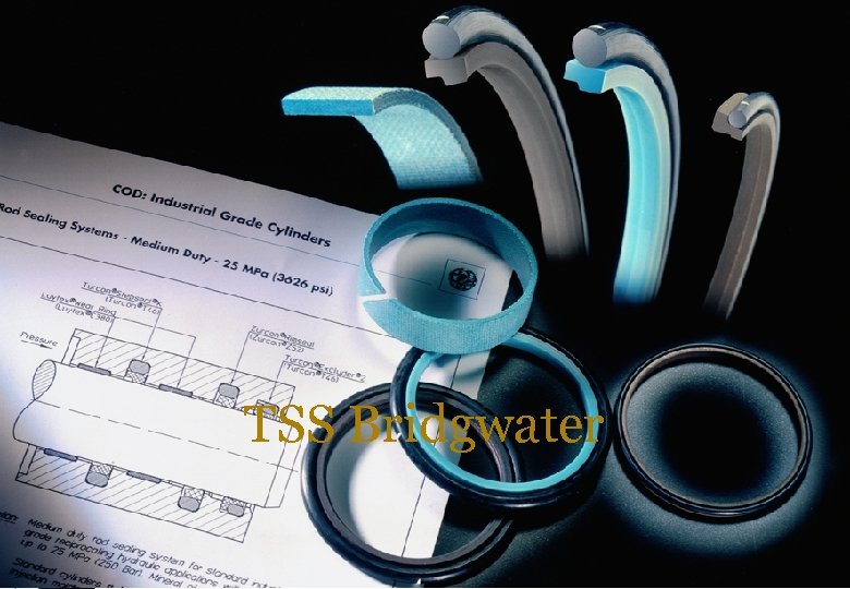 SEALING SOLUTIONS TSS Bridgwater 