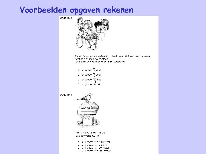 Voorbeelden opgaven rekenen 