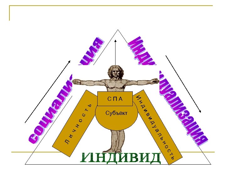 н о ду ал ч ви ьн и ди Л Ин с т ь